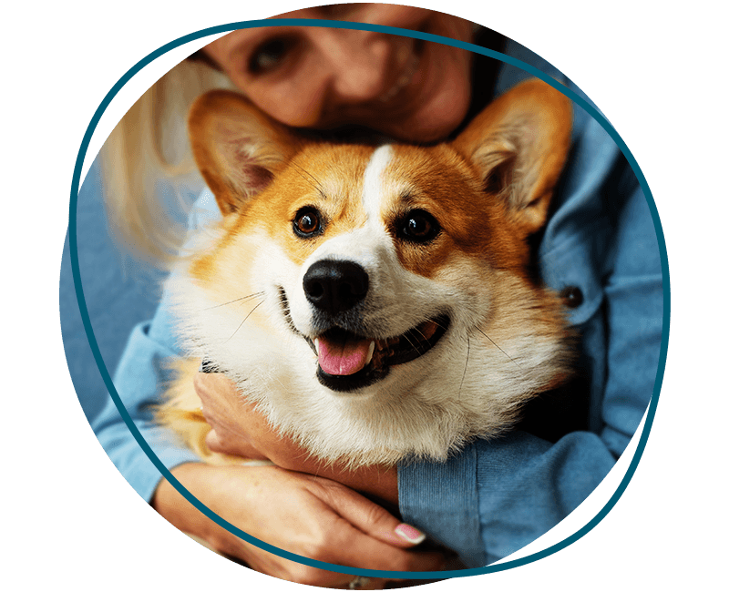 woman hugging her corgi dog