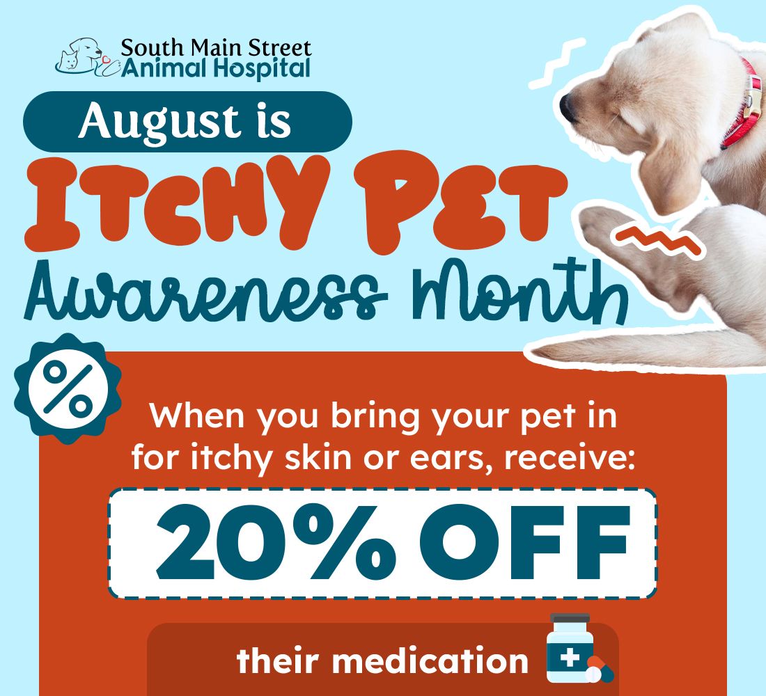 Awareness campaign graphic for Itchy Pet Awareness Month, featuring a dog scratching its ear and informative text.
